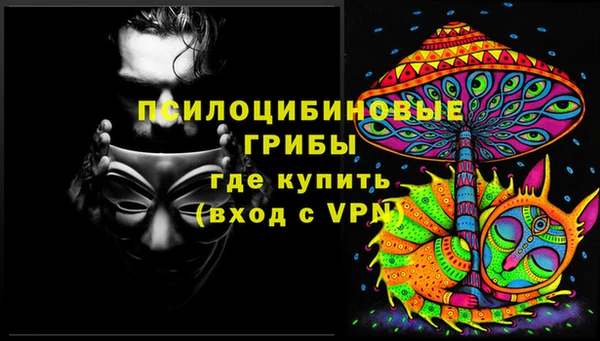apvp Армянск