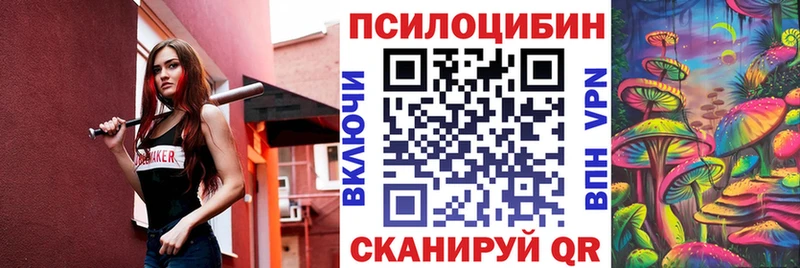 мориарти клад Лебедянь Псилоцибиновые грибы Psilocybe