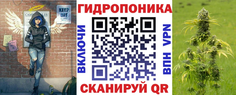 Бошки Шишки гибрид  это как зайти  ссылка на мегу вход  Лебедянь  наркотики 
